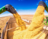 Preo da soja disponvel em Mato Grosso tem aumento