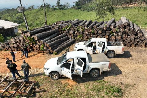 Multa por crimes ambientais cresce 24% no Paraná entre janeiro e novembro de 2024