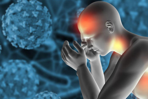 MPOX: buscas pelo vírus crescem após 90 casos confirmados no Brasil