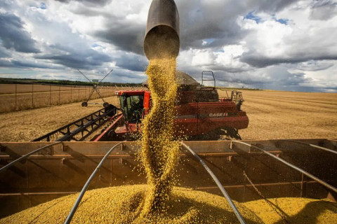 Amapá amplia área produtiva e produtividade e chega a 30,3 mil toneladas de grãos na safra 24/25