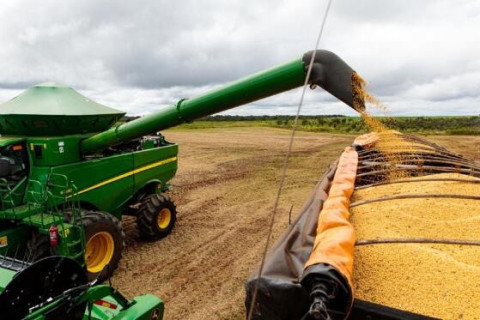 Mato Grosso terá expansão agrícola e deve liderar exportação no agronegócio até 2034