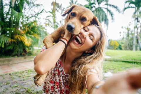 Brincar com cachorro diminui o nível de estresse, indica estudo