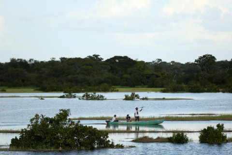 Itaú Unibanco diz que vai investir R$ 200 mi em ativos florestais da Dexco