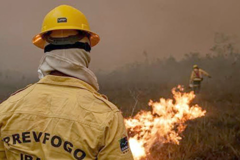 Amazonas decreta emergência em 36 municípios por causa de queimadas Governo federal envia aeronaves e reforça equipes de combate ao fogo