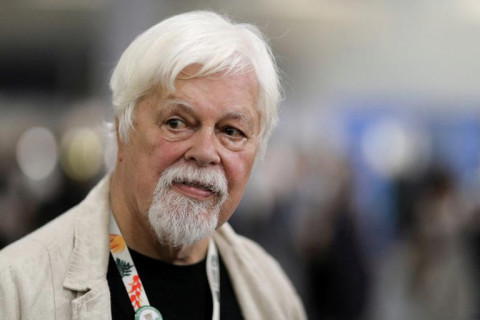 Ambientalista que se esquiva de prisão pedida pelo Japão promete na COP30 enfrentar mineração em águas profundas