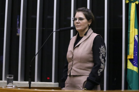 Câmara aprova projeto que inclui crime de assédio sexual no Código Penal Militar  Fonte: Agência Câmara de Notícias