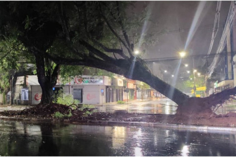 Vendaval causa estragos e mobiliza equipes de emergência em Foz do Iguaçu